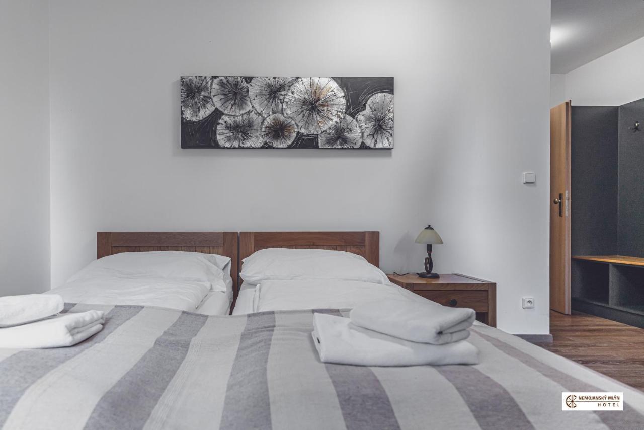 Hotel Nemojansky Mlyn Nemojany Εξωτερικό φωτογραφία